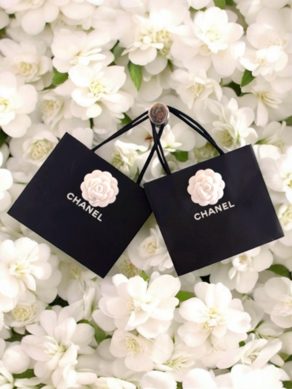 🆕💞CHANEL Gift Bags Adorned w/ Camellia Flower • BLACK • SET of TWO (2)